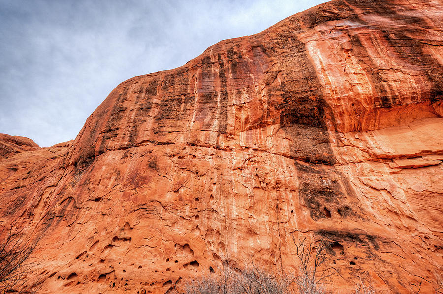 Moab Cliff Photograph by Brett Engle
