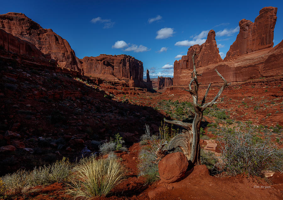 Landscape Photograph - Moab Shadows by Tim Bryan