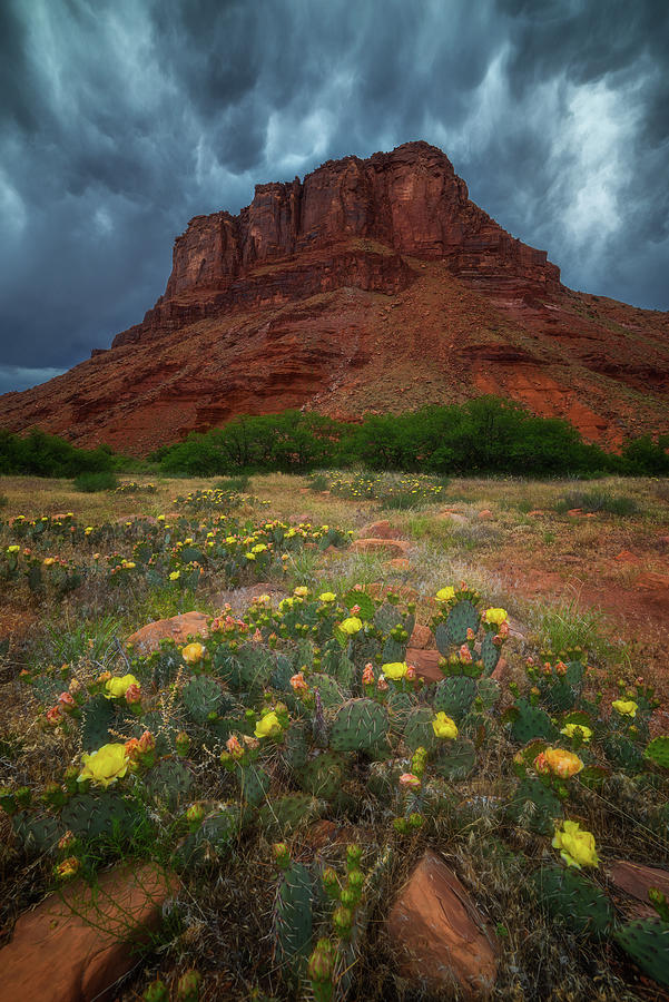 Moab Summer Storm Photograph