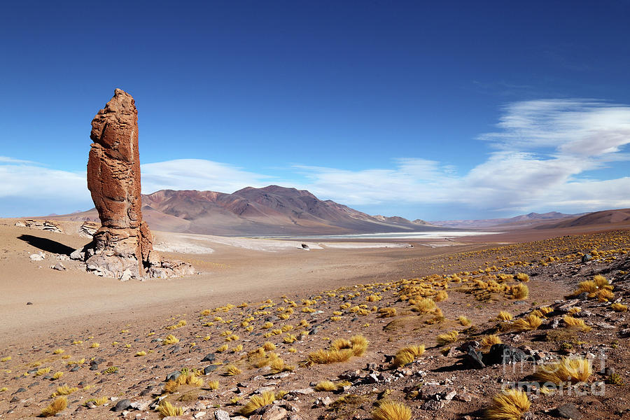Moais de Tara Rock Formation Atacama Desert Chile Photograph by James Brunker