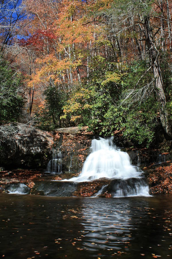 Escape to Nature's Embrace: A Journey to Moccasin Creek State Park