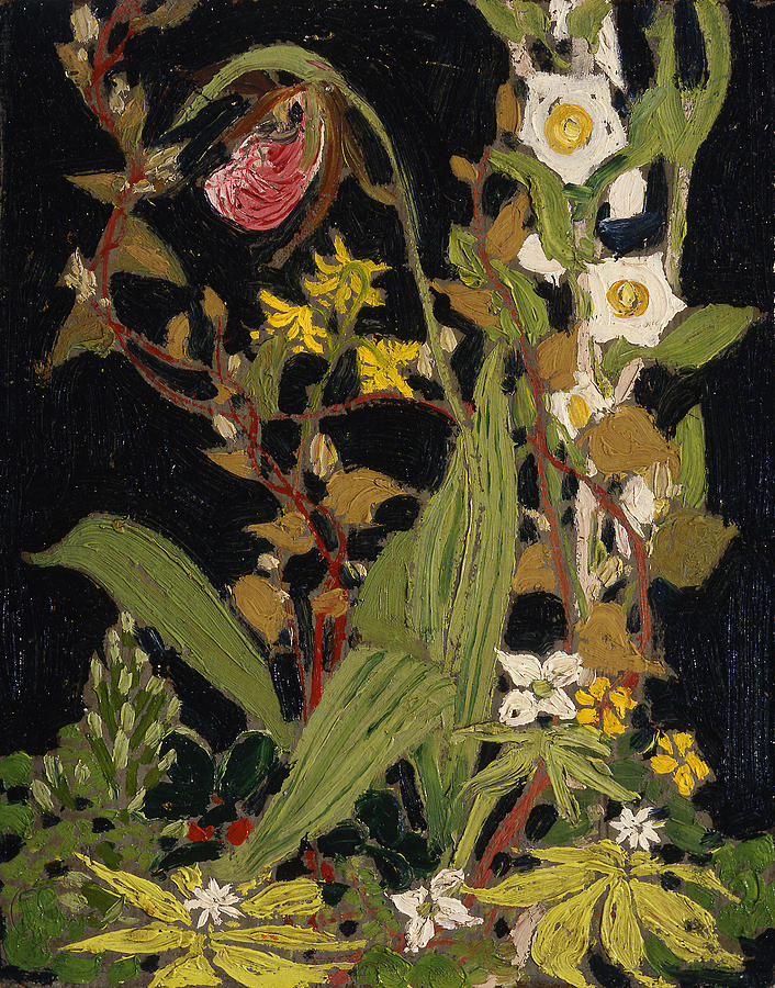 Moccasin Flower  Painting by Tom Thomson