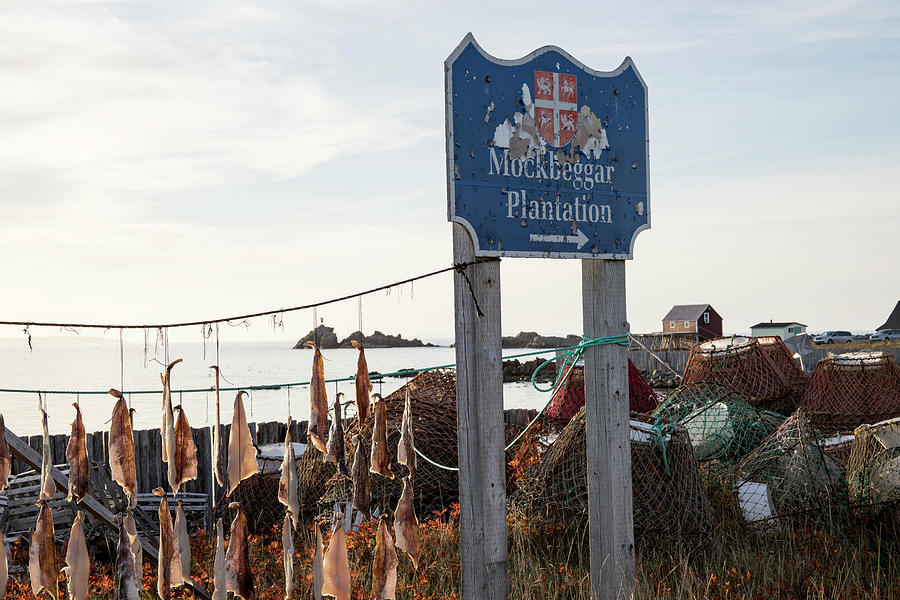 Mockbeggar Plantation sign with salt cod pieces drying next to t Photograph by Karen Foley