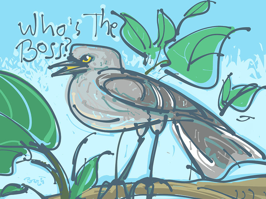 Mockingbird Drawing - Mockingbird by Brett LaGue