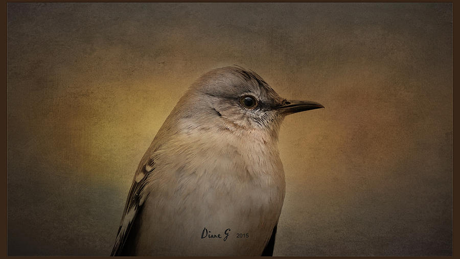 Mockingbird Photograph by Diane Giurco