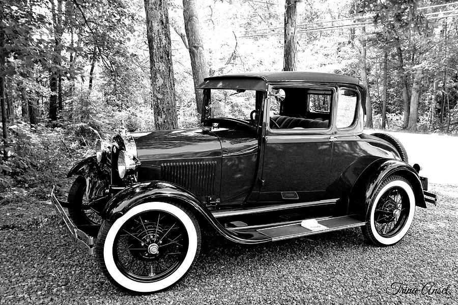 Model A in Black and White Photograph by Trina Ansel