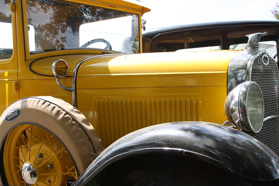 Model A with Quail Photograph by Jonathan Kotinek - Fine Art America