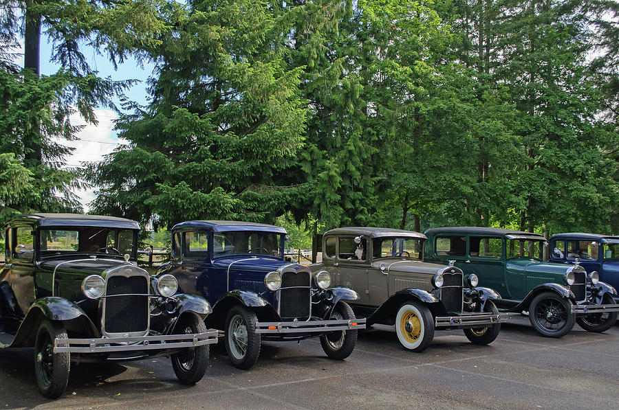 Model T Line Up Photograph by Tikvahs Hope