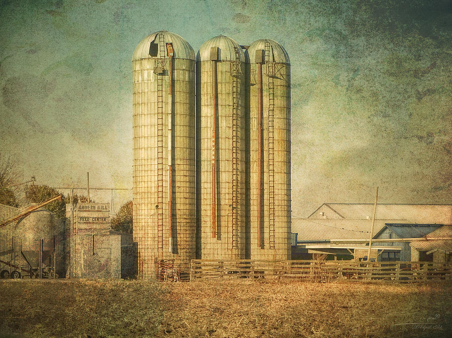Barn Photograph - Modern Mill Feed Center by Theresa Campbell