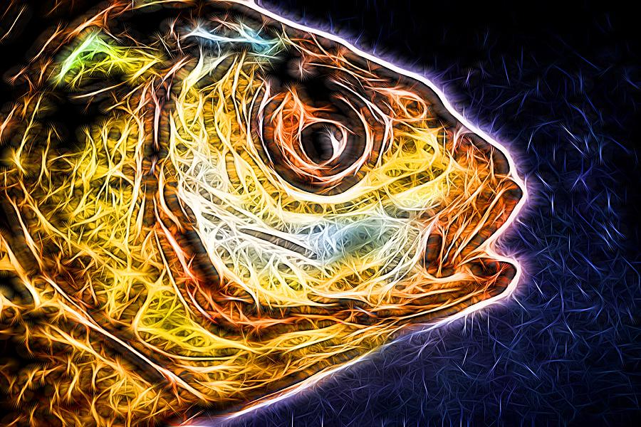 Modern Neon Fish Head Abstract Photograph by John Williams