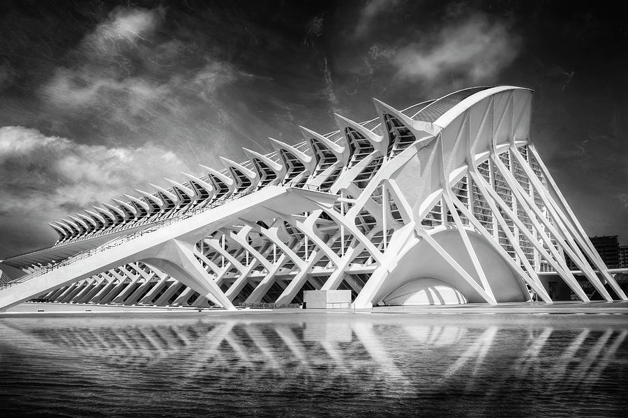 Modern Valencia in Black and White  Photograph by Carol Japp
