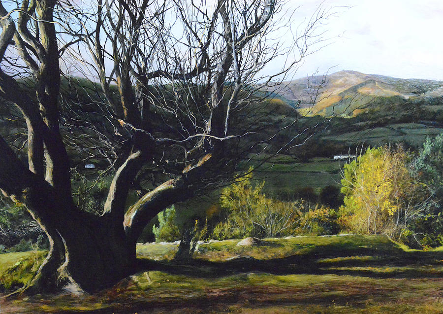 Moel Famau from Loggerheads Painting by Harry Robertson