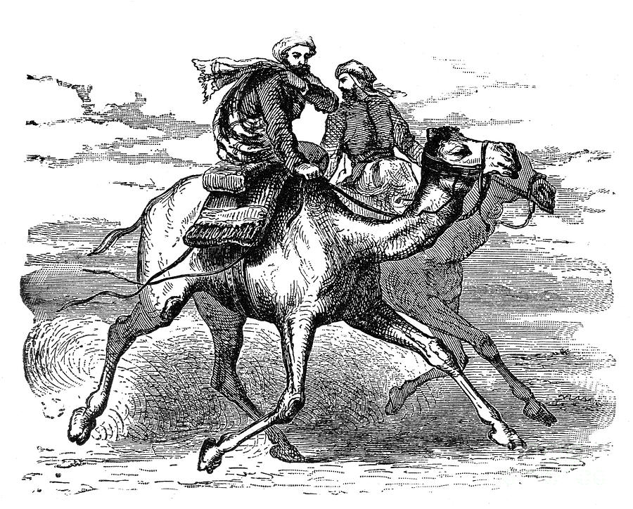 Mohammed (570-632) Photograph by Granger