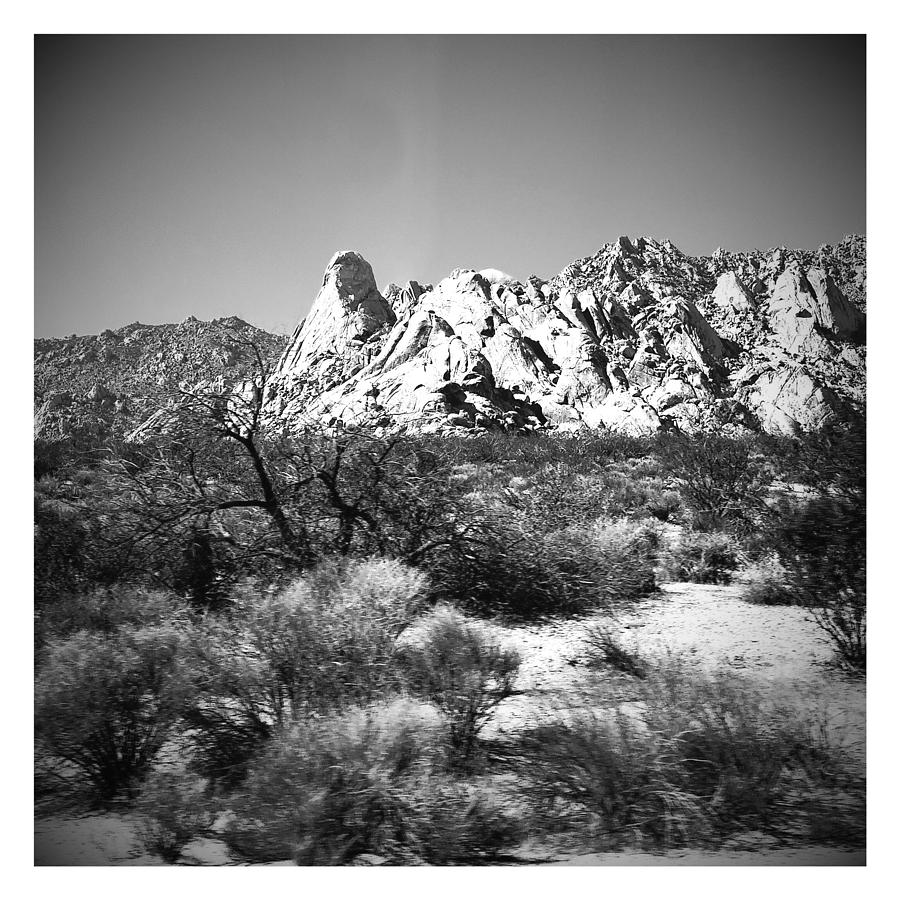 Mohave Desert Greys Photograph by Barbara Christensen - Fine Art America