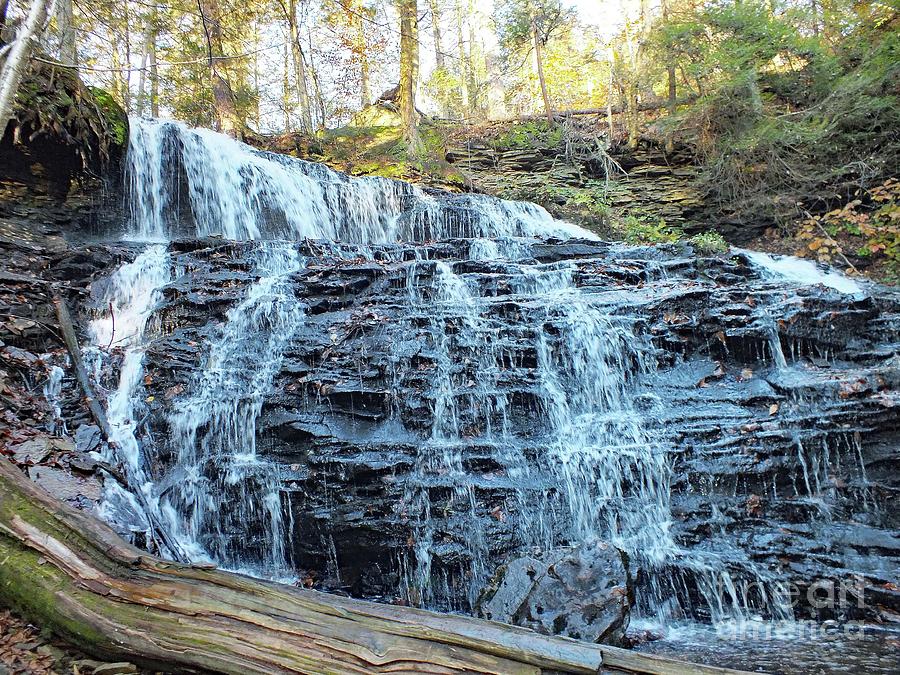 Mohawk Falls 2 Ricketts Glen Photograph By Cindy Treger