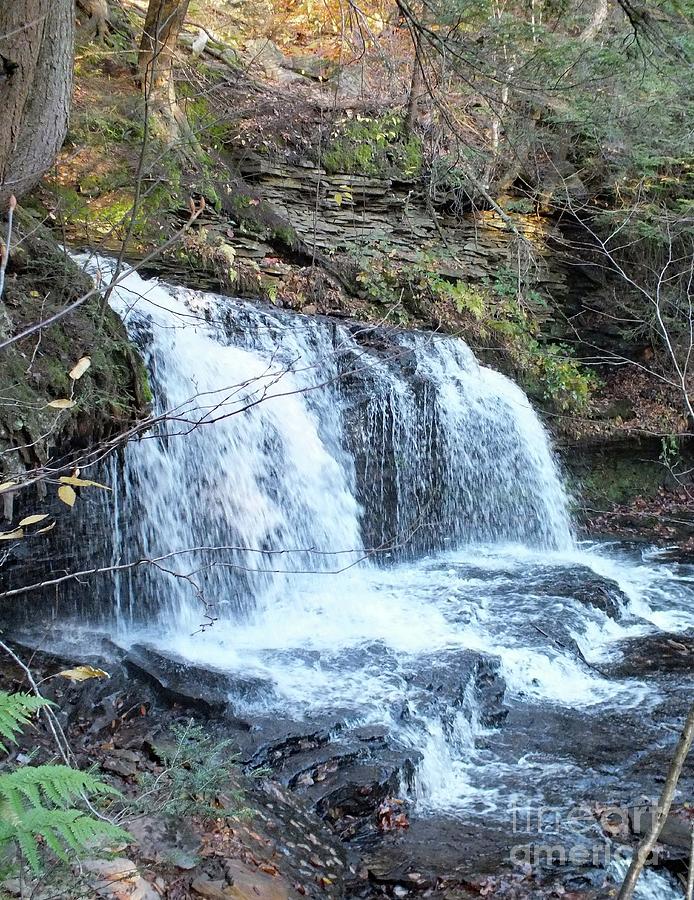 Mohawk Falls - Ricketts Glen Photograph by Cindy Treger - Fine Art America