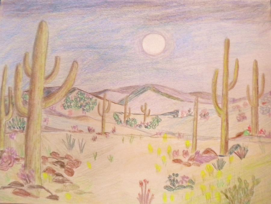 Desert Biome Drawings