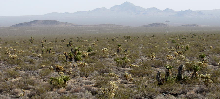 Mojave Desert Mountains Photograph by Joshua Bales