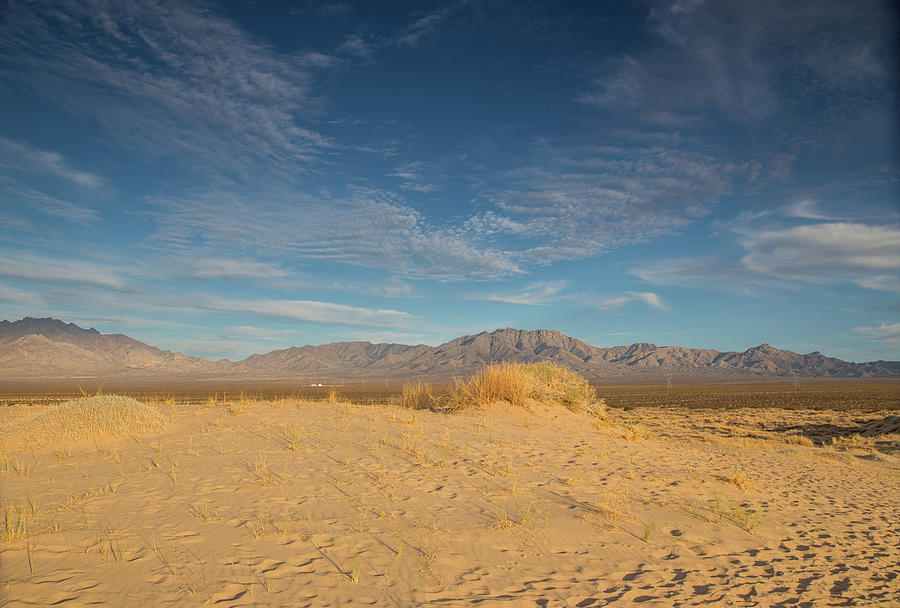 Mojave desert sunset Photograph by Kunal Mehra