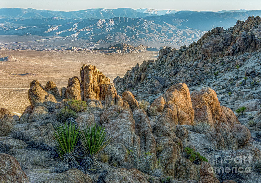 Mojave Dusk Photograph by Lisa Manifold