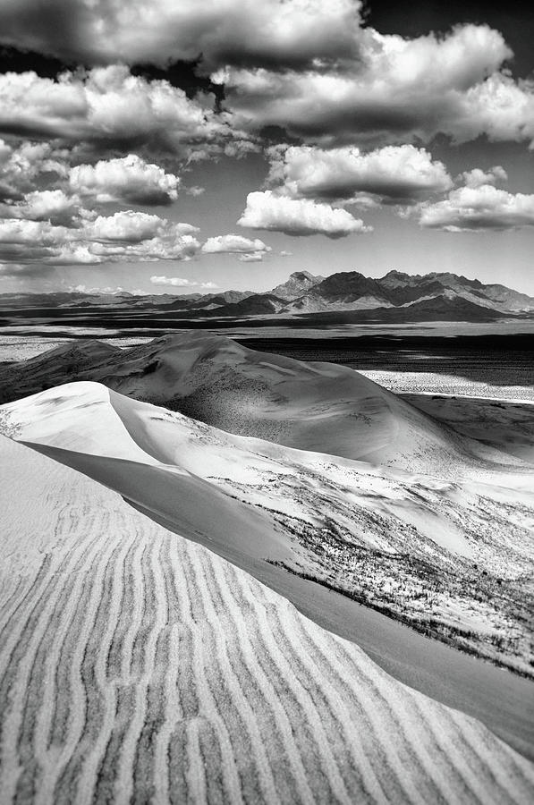 Mojave Kelso Dunes Black and White Photograph by Kyle Hanson