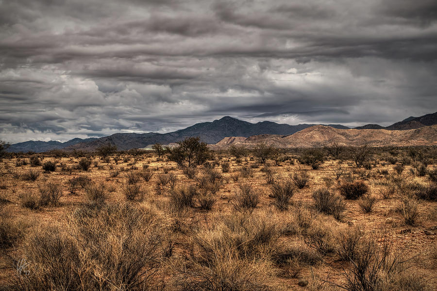 Mojave Landscape 001 Photograph by Lance Vaughn