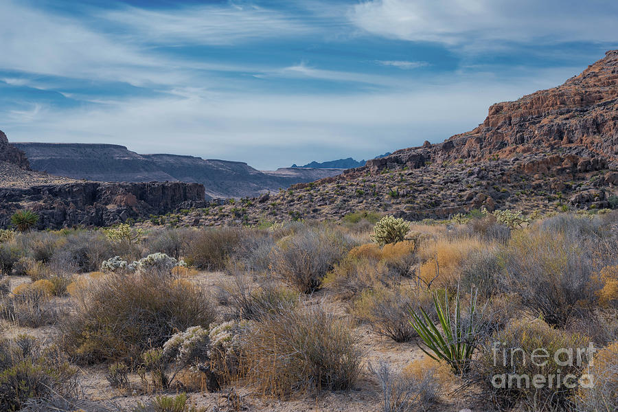 Mojave Landscape Photograph by Jeff Hubbard