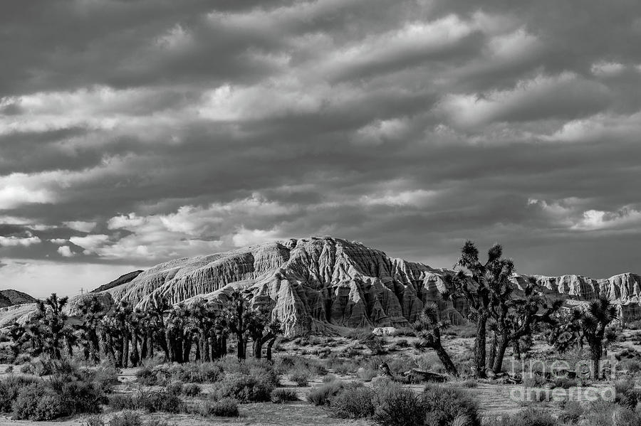 Mojave Storm Photograph by Jeff Hubbard