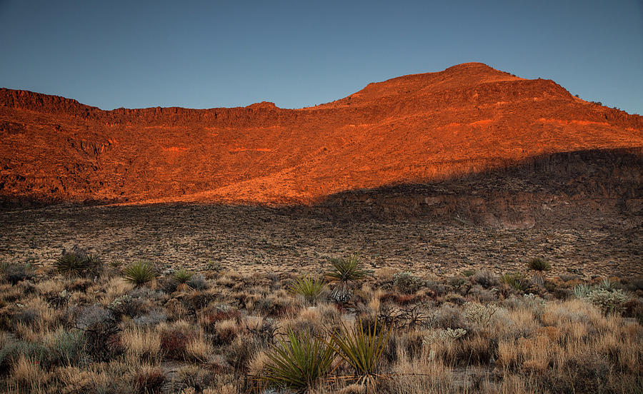 Mojave sunrise Photograph by Kunal Mehra