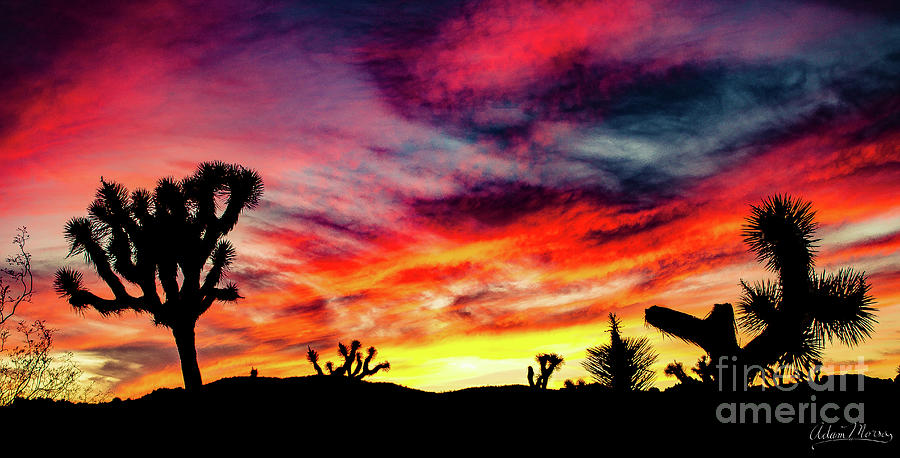 Mojave Sunset Photograph by Adam Morsa
