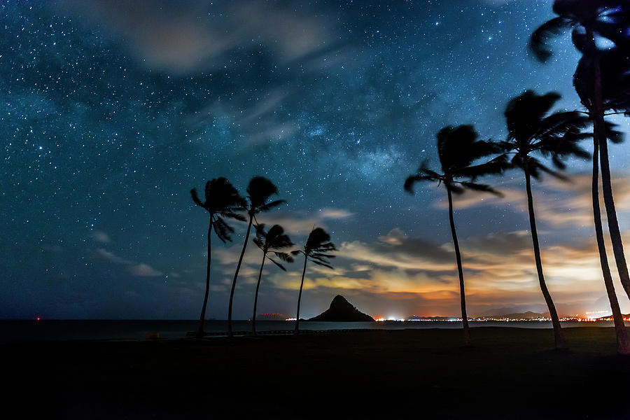 Tropical Photograph - Hawaiian Stardust by Sean Davey