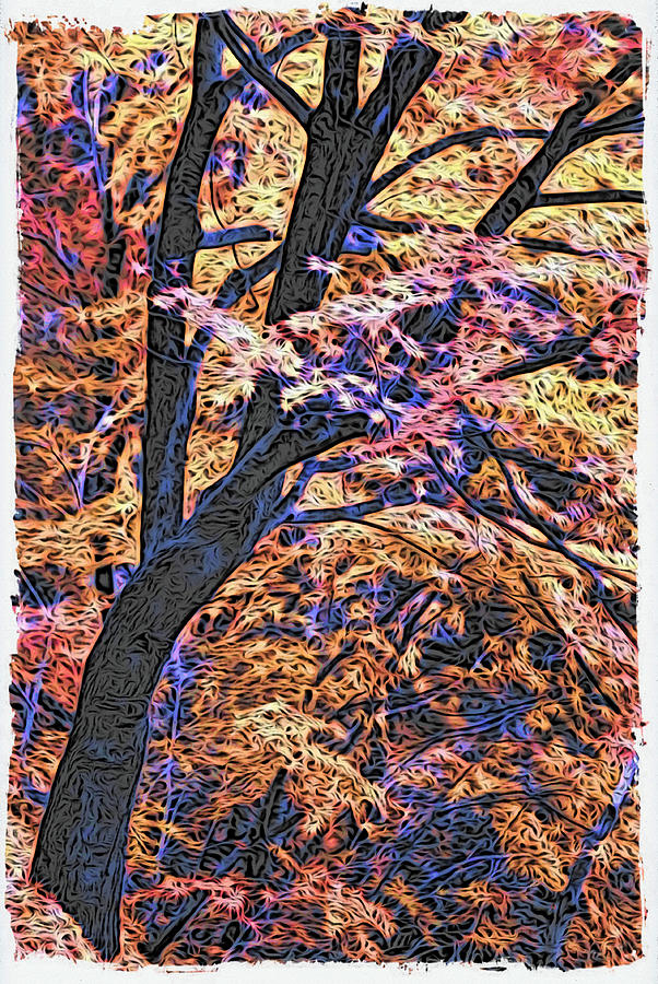 Moku Hanga Autumn Digital Art by Cameron Wood