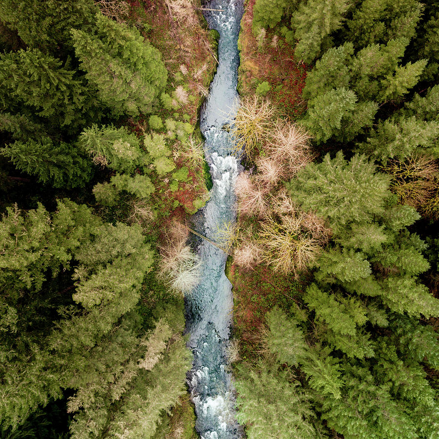 Molalla River #1 Photograph by George Shubin - Fine Art America