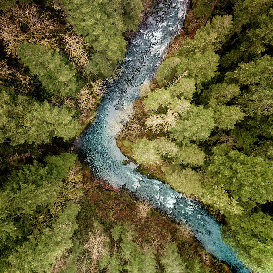 Molalla River #2 Photograph by George Shubin | Fine Art America