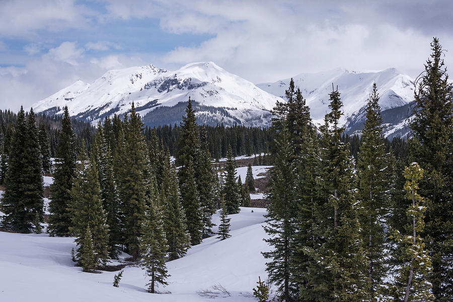 Winter Photograph - Molas Pass Colorado by Joan Carroll