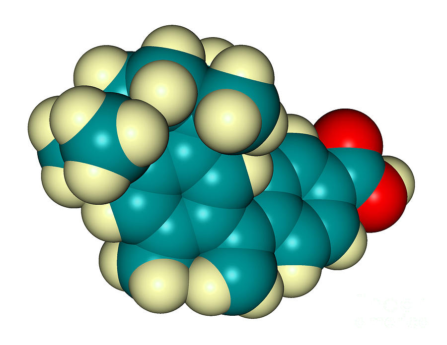 Molecular Model Of Bexarotene Photograph by Scimat