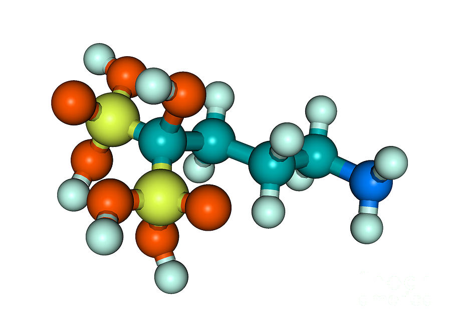Molecular Model Of Fosamax Photograph by Scimat