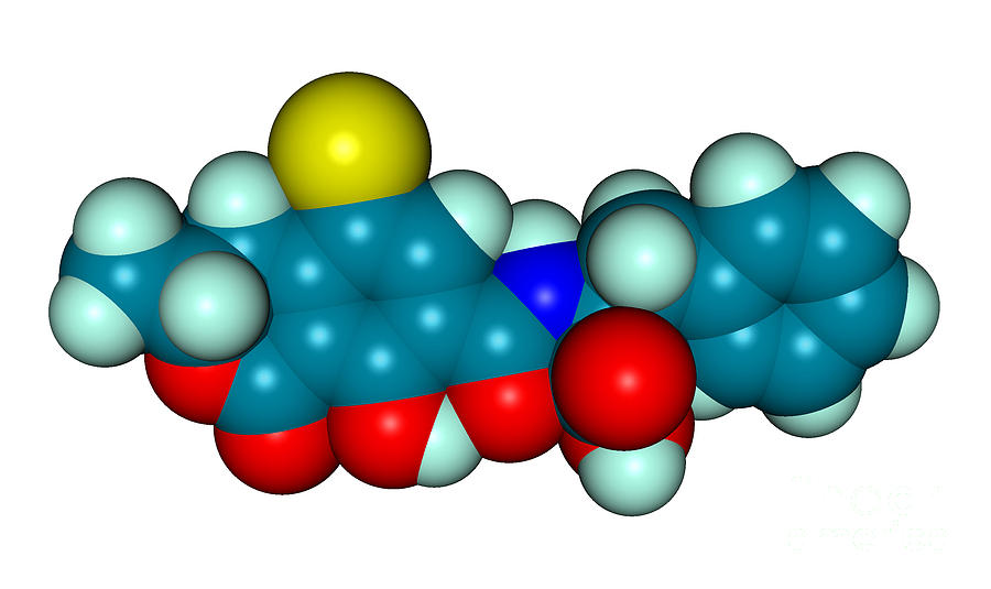 Molecular Model Of Ochratoxin A Photograph by Scimat