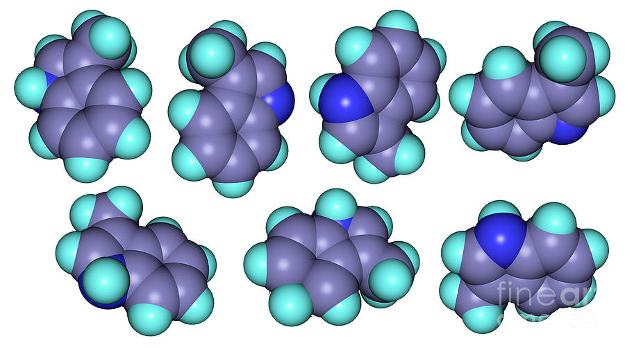 Molecular Models Of Skatole Photograph by Scimat