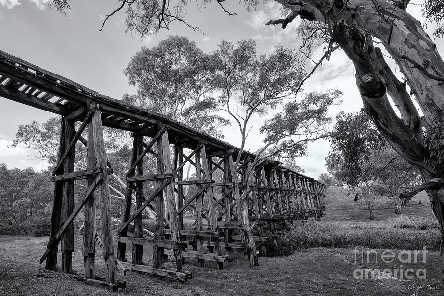 Mollisons Creek Trestle Bridge Photograph by Linda Lees