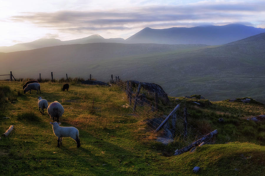 Molls Gap - Ireland Photograph by Joana Kruse