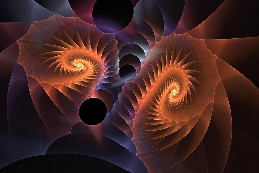 Mollusks Multiply Digital Art by Doug Morgan