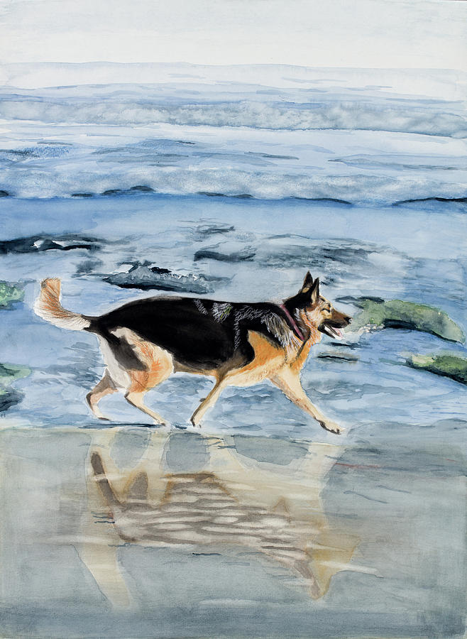 Sunset Painting - Molly enjoying the beach by Marcella Morse