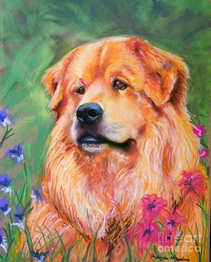 Dog Painting - Molly by Frances Marino