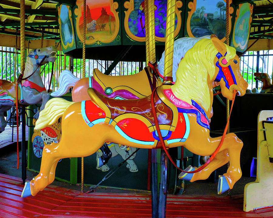 Molly the Horse Kennedy Park Antique Merry Go Round Carousel Photograph ...