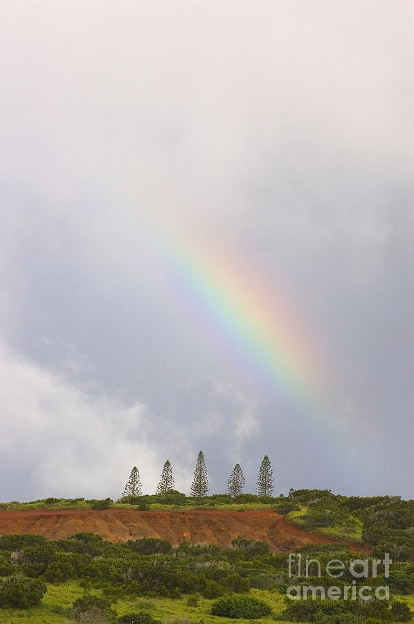 Landscape Photograph - Molokai Ranch, Rainbow by Greg Vaughn - Printscapes