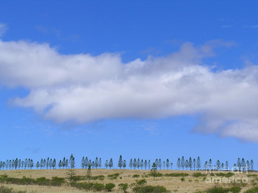 Molokai Skyline Photograph by James Temple