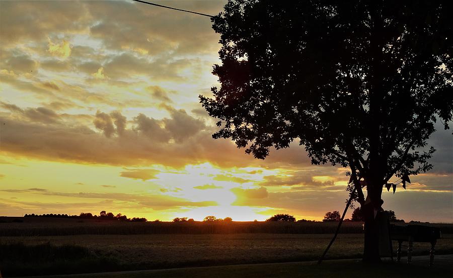 Molton Gold Sunset Photograph by Susan Baker