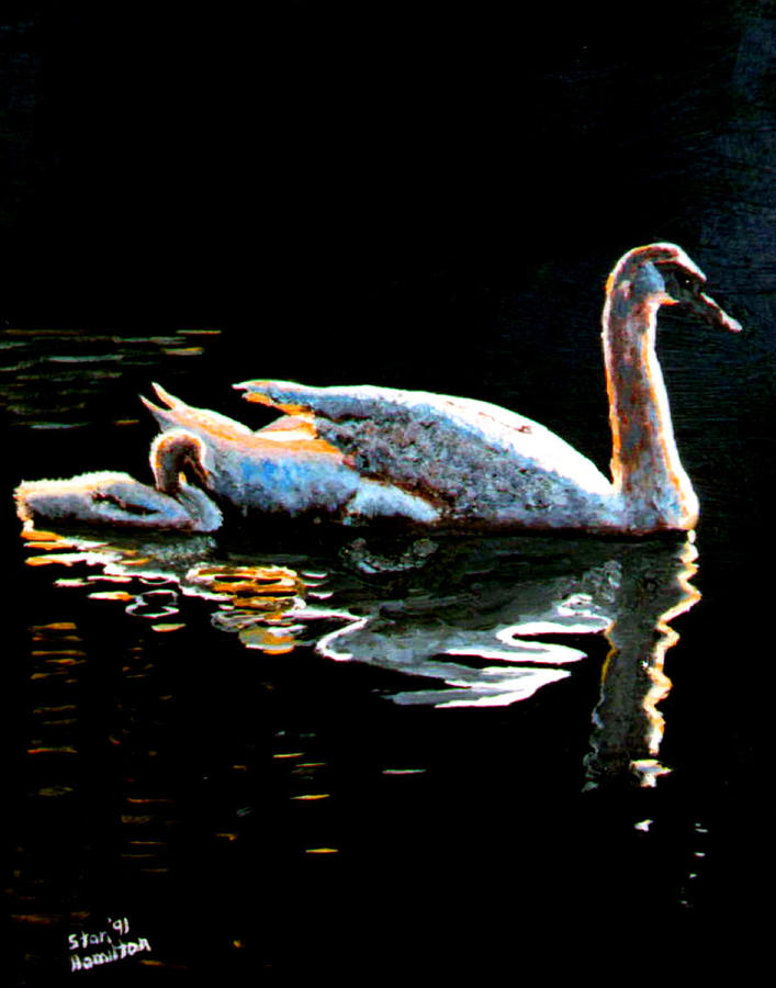 Mom and Baby Swan Painting by Stan Hamilton