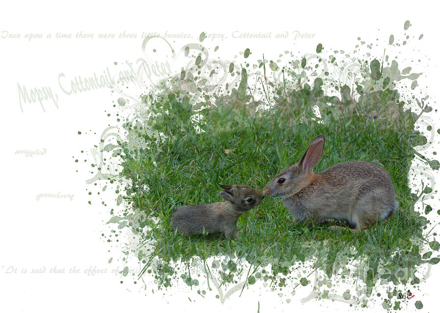 Mom and Bunny Photograph by Sandra Clark